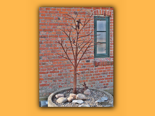 Am Bovbjerg (11).jpg